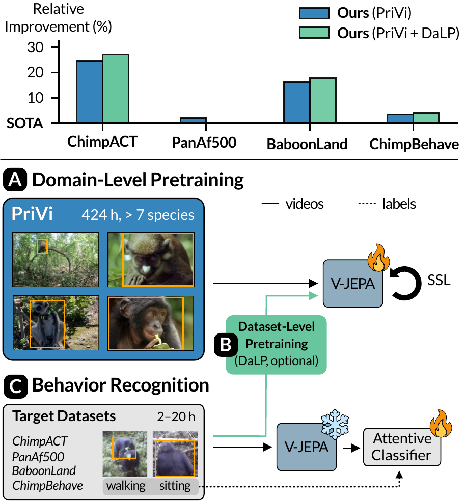 PriVi teaser figure showing SOTA improvements across four primate behavior benchmarks